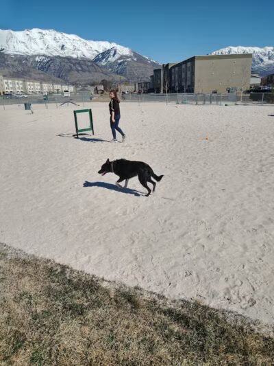 American Fork Dog Park - American Fork, UT