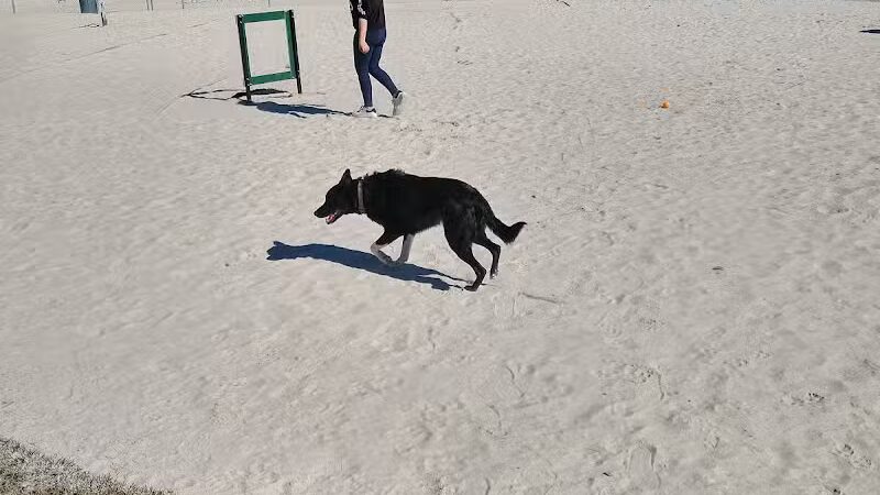 American Fork Dog Park - American Fork, UT