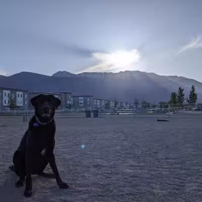 American Fork Dog Park - American Fork, UT