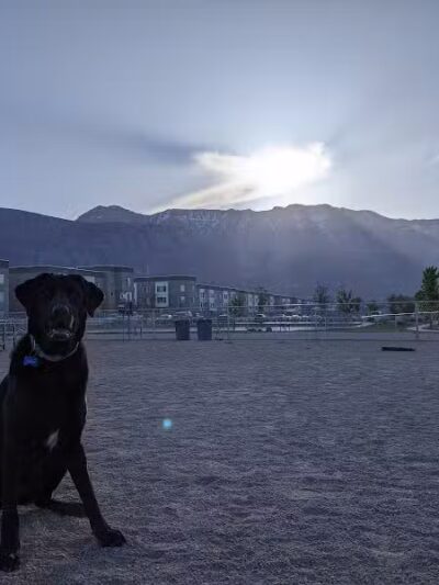American Fork Dog Park - American Fork, UT