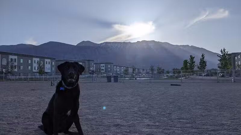 American Fork Dog Park - American Fork, UT