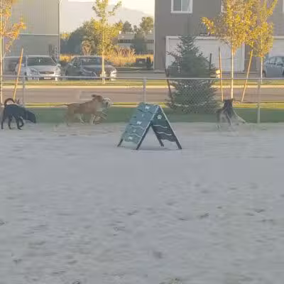 American Fork Dog Park - American Fork, UT