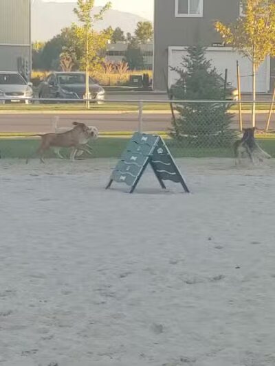 American Fork Dog Park - American Fork, UT