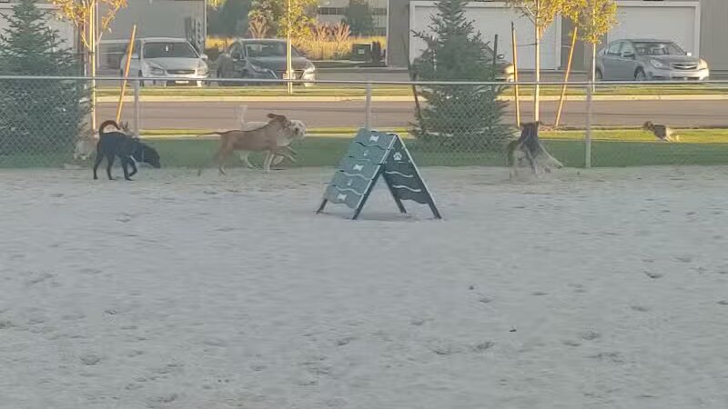 American Fork Dog Park - American Fork, UT