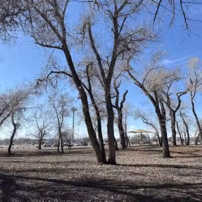 Art Dye Dog Park - American Fork, UT