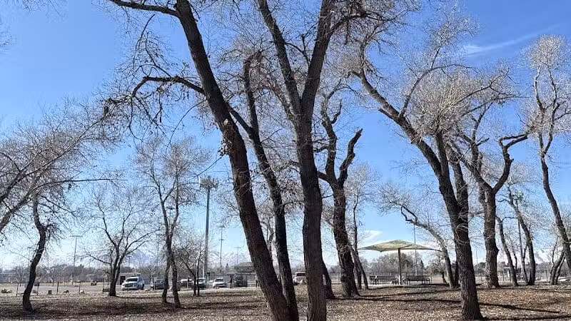 Art Dye Dog Park - American Fork, UT