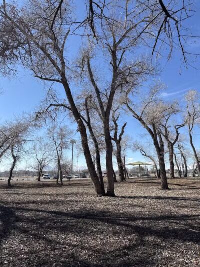 Art Dye Dog Park - American Fork, UT