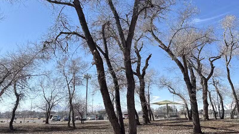 Art Dye Dog Park - American Fork, UT