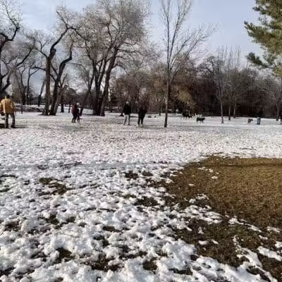 Art Dye Dog Park - American Fork, UT