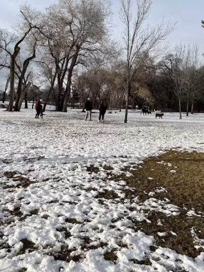 Art Dye Dog Park - American Fork, UT