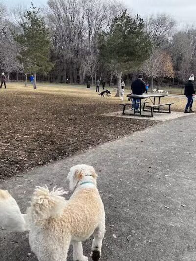 Art Dye Dog Park - American Fork, UT