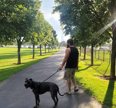 Art Dye Dog Park - American Fork, UT