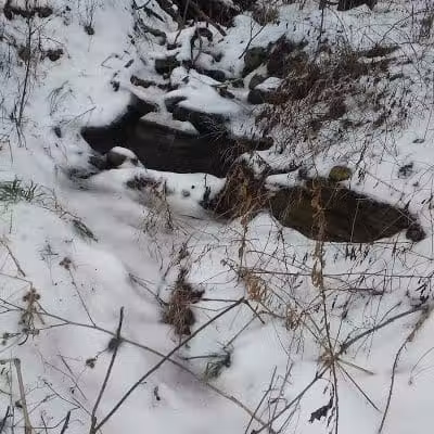 Coessens Park - Amsterdam, NY