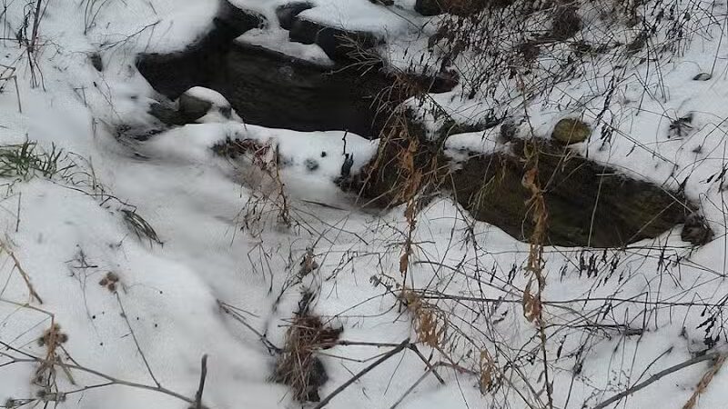 Coessens Park - Amsterdam, NY