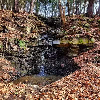 Wolf Hollow Preserve trailhead parking - Amsterdam, NY