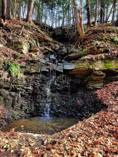 Wolf Hollow Preserve trailhead parking - Amsterdam, NY