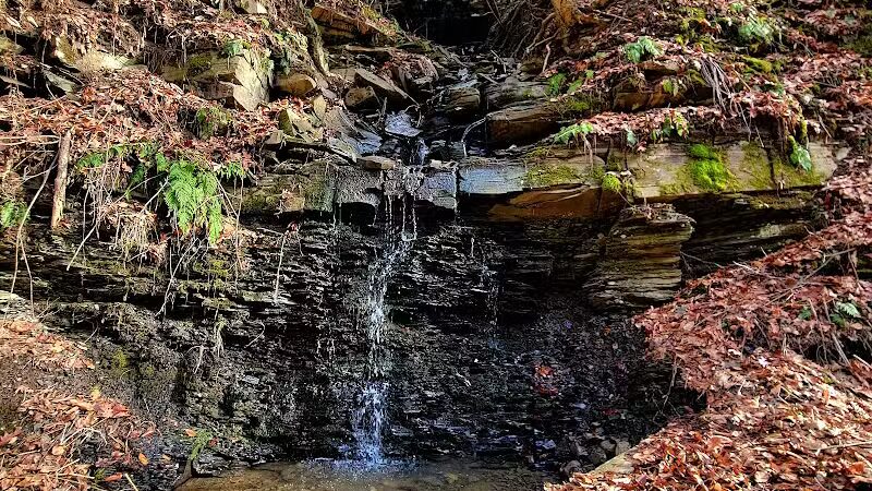 Wolf Hollow Preserve trailhead parking - Amsterdam, NY