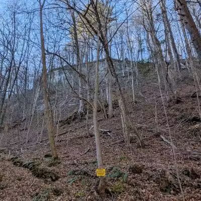 Wolf Hollow Preserve trailhead parking - Amsterdam, NY