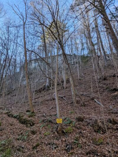 Wolf Hollow Preserve trailhead parking - Amsterdam, NY