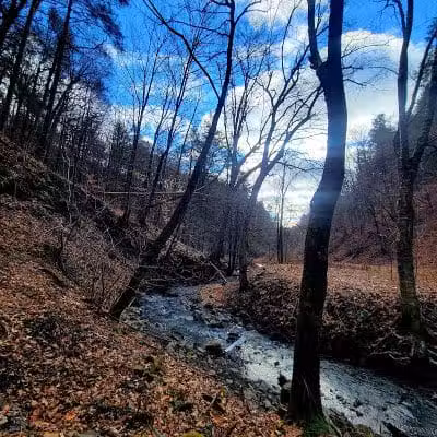 Wolf Hollow Preserve trailhead parking - Amsterdam, NY