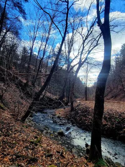 Wolf Hollow Preserve trailhead parking - Amsterdam, NY