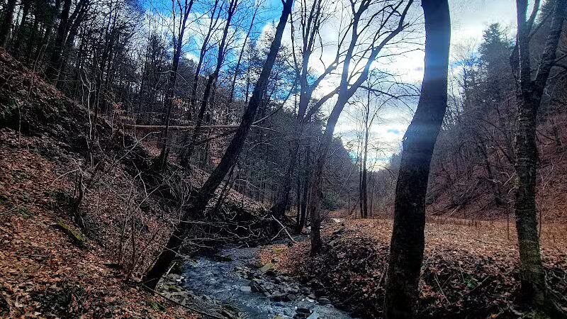 Wolf Hollow Preserve trailhead parking - Amsterdam, NY
