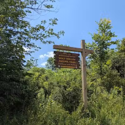Wolf Hollow Preserve trailhead parking - Amsterdam, NY
