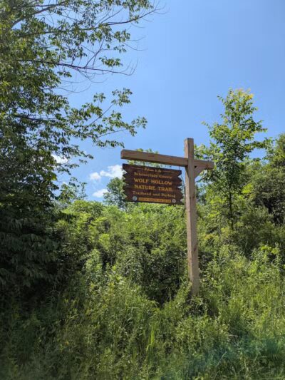 Wolf Hollow Preserve trailhead parking - Amsterdam, NY
