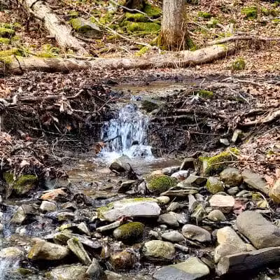 Wolf Hollow Preserve trailhead parking - Amsterdam, NY