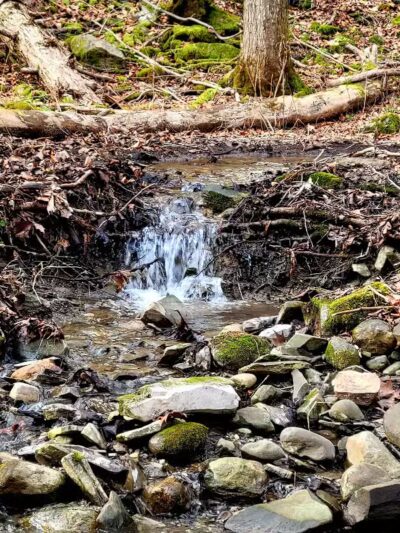Wolf Hollow Preserve trailhead parking - Amsterdam, NY
