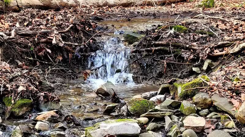 Wolf Hollow Preserve trailhead parking - Amsterdam, NY