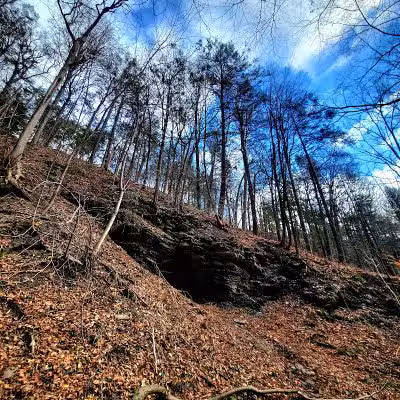 Wolf Hollow Preserve trailhead parking - Amsterdam, NY