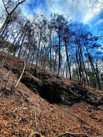 Wolf Hollow Preserve trailhead parking - Amsterdam, NY
