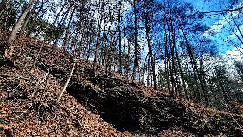 Wolf Hollow Preserve trailhead parking - Amsterdam, NY