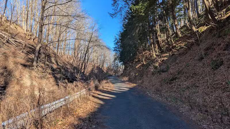 Wolf Hollow Preserve trailhead parking - Amsterdam, NY