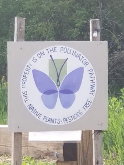 Kinney Road Open Space - Amston, CT