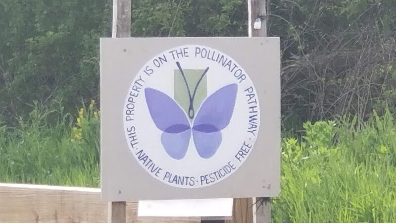 Kinney Road Open Space - Amston, CT