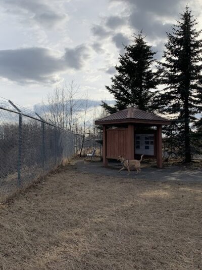 Birch Water Dog Park - Anchorage, AK