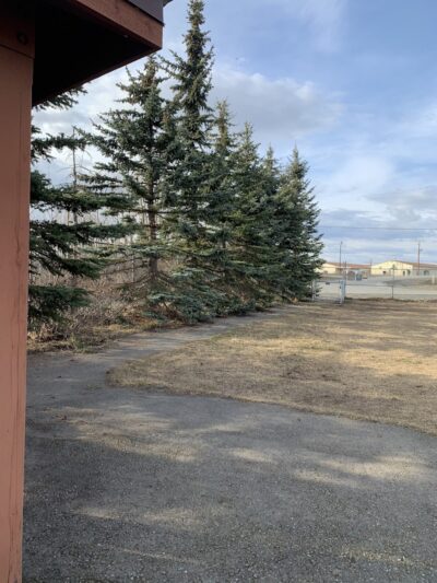 Birch Water Dog Park - Anchorage, AK