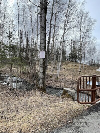 Chanshtnu Muldoon Dog Park - Anchorage, AK