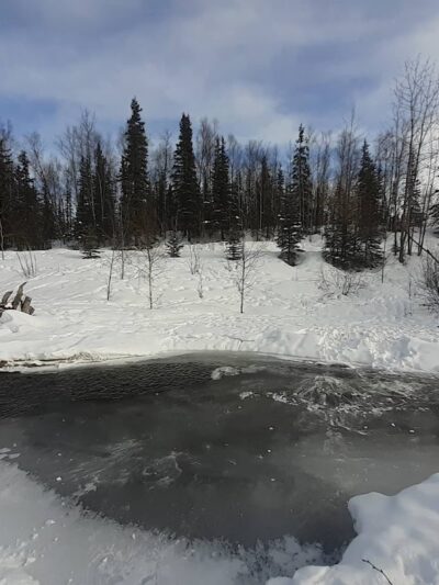 Chanshtnu Muldoon Dog Park - Anchorage, AK