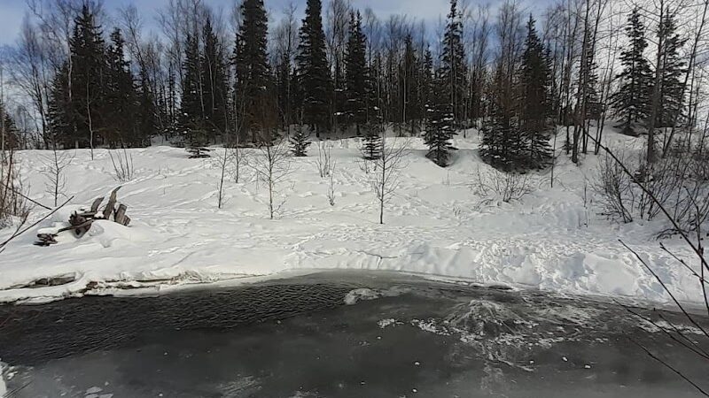 Chanshtnu Muldoon Dog Park - Anchorage, AK
