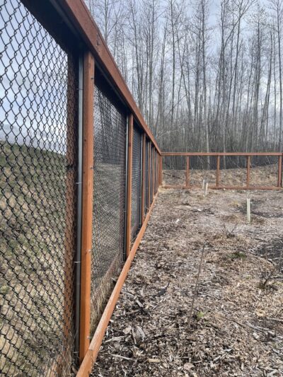 Chanshtnu Muldoon Dog Park - Anchorage, AK