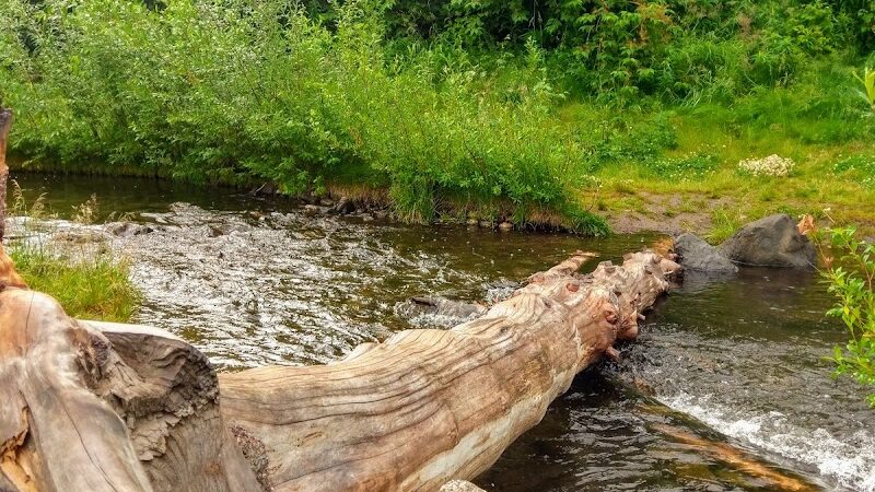 Chanshtnu Muldoon Dog Park - Anchorage, AK
