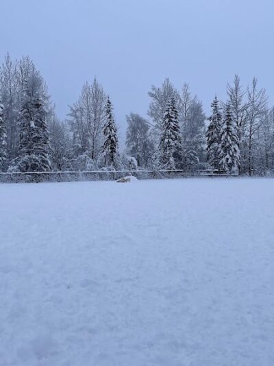 Chanshtnu Muldoon Dog Park - Anchorage, AK