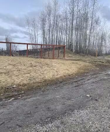 Chanshtnu Muldoon Dog Park - Anchorage, AK