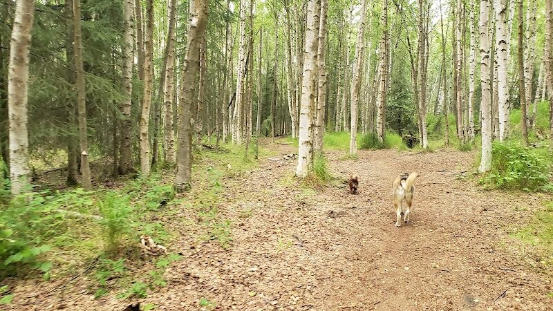 Connors Bog Dog Park - Anchorage, AK