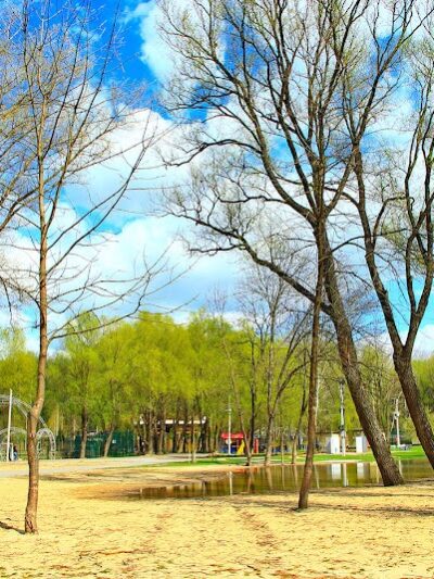 Connors Bog Dog Park - Anchorage, AK