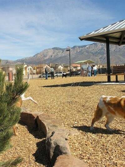 Connors Bog Dog Park - Anchorage, AK
