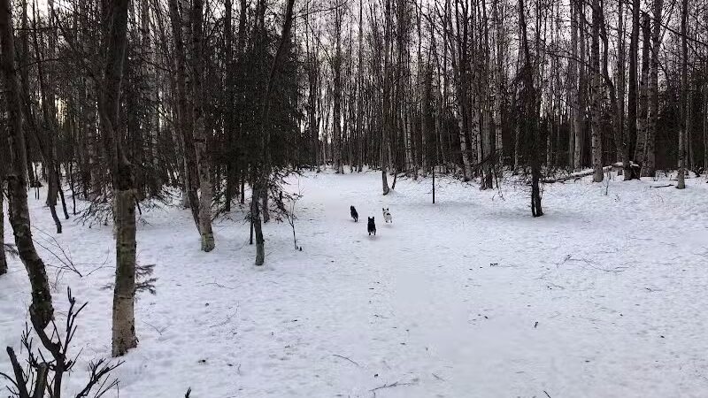 Connors Bog Park - Anchorage, AK